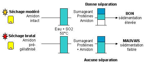 test de sdimentation